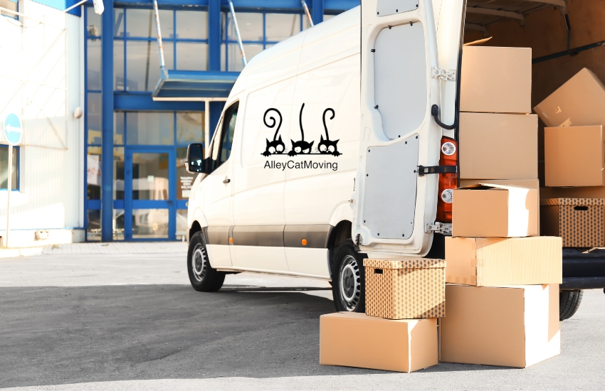 Read more about the article  Moving Companies in Colorado Springs Handle Specialty Items