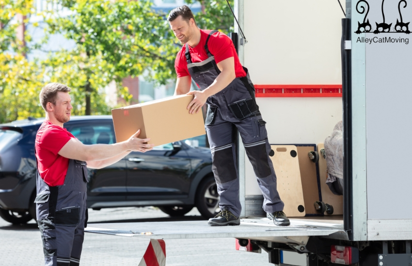 Professional Movers in Colorado Springs