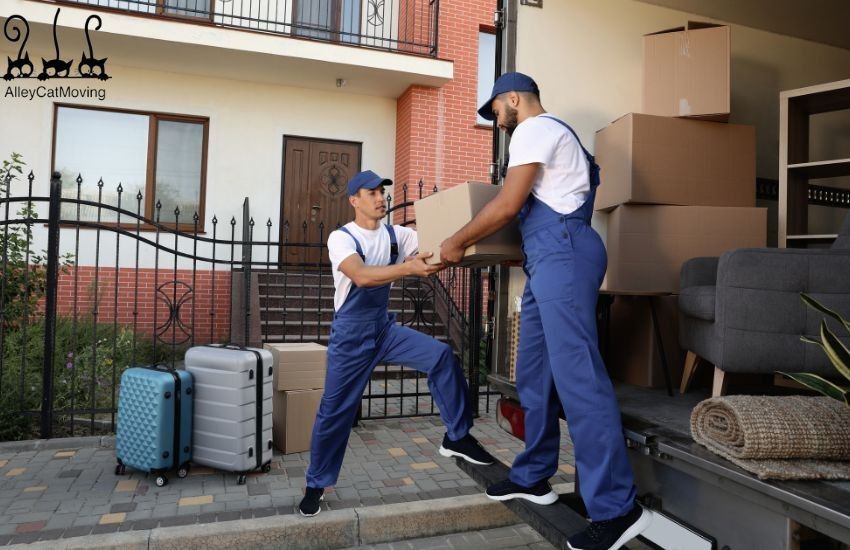 moving companies in Colorado Springs